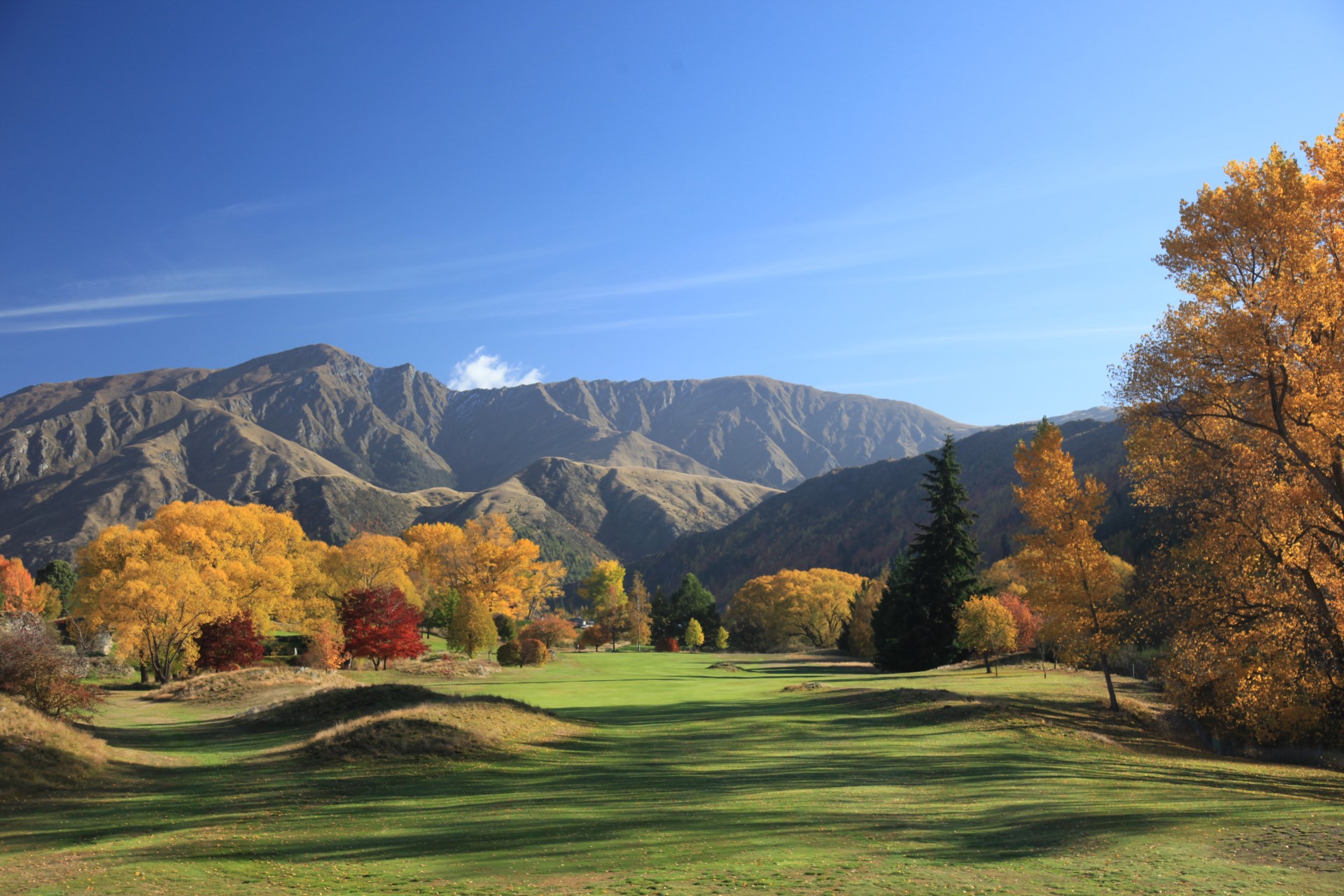 Golf in Autumn Arrowtown Golf