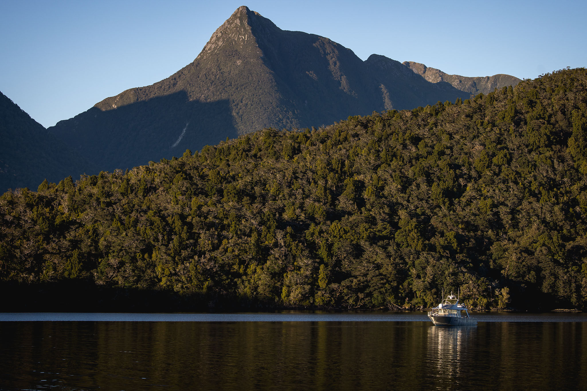 Dusky Sound Cruises NZ