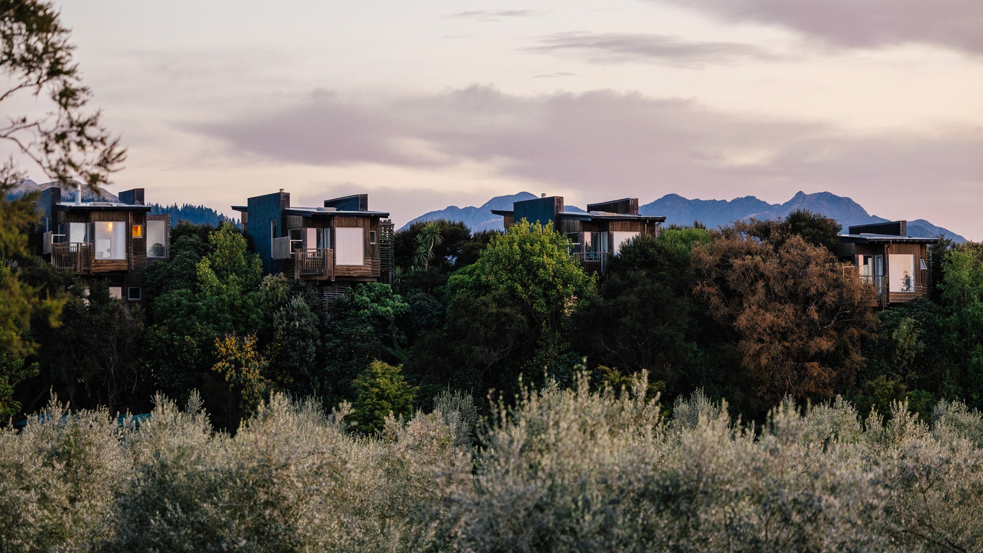 Hapuku Lodge + Tree Houses