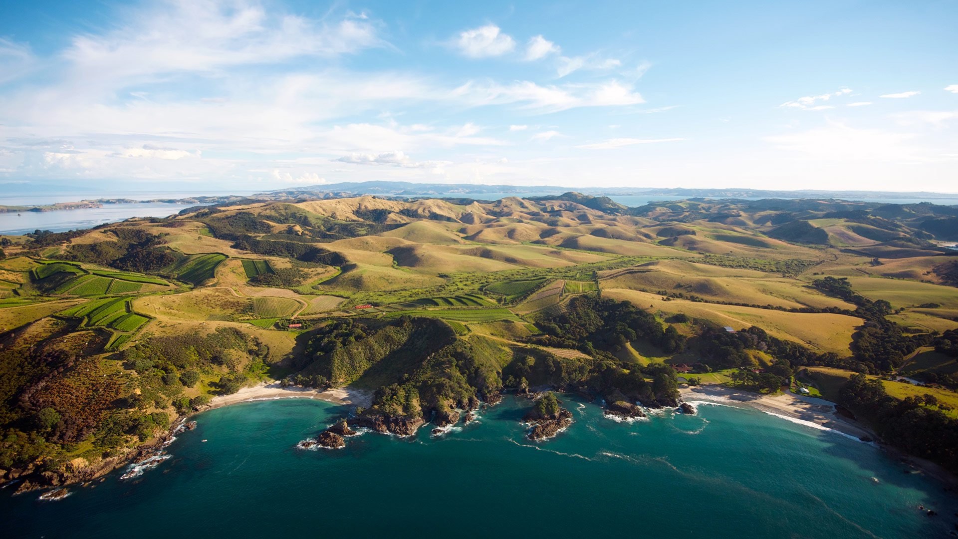 Wine and dine on Waiheke Island