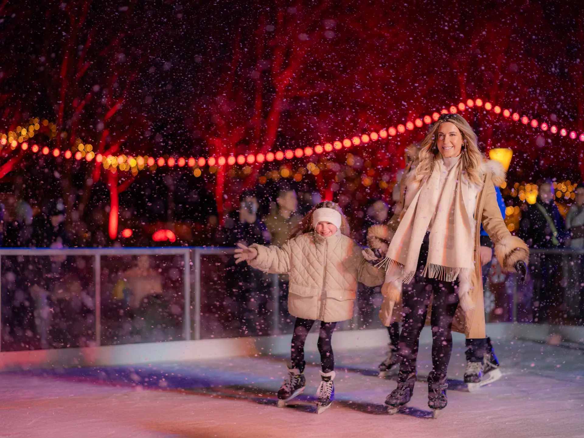 Ayrburn Ice Skating