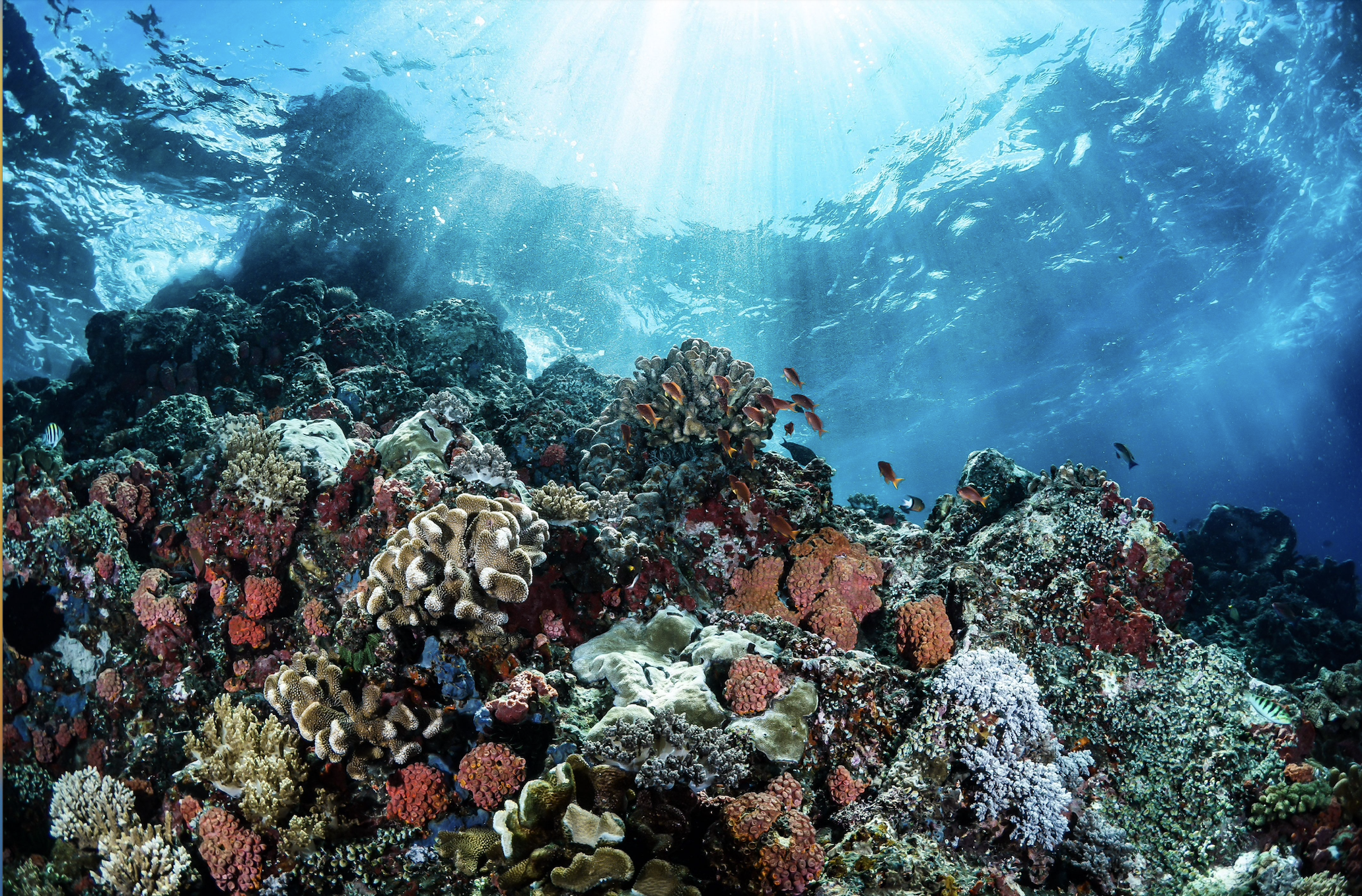 Great Barrier Reef