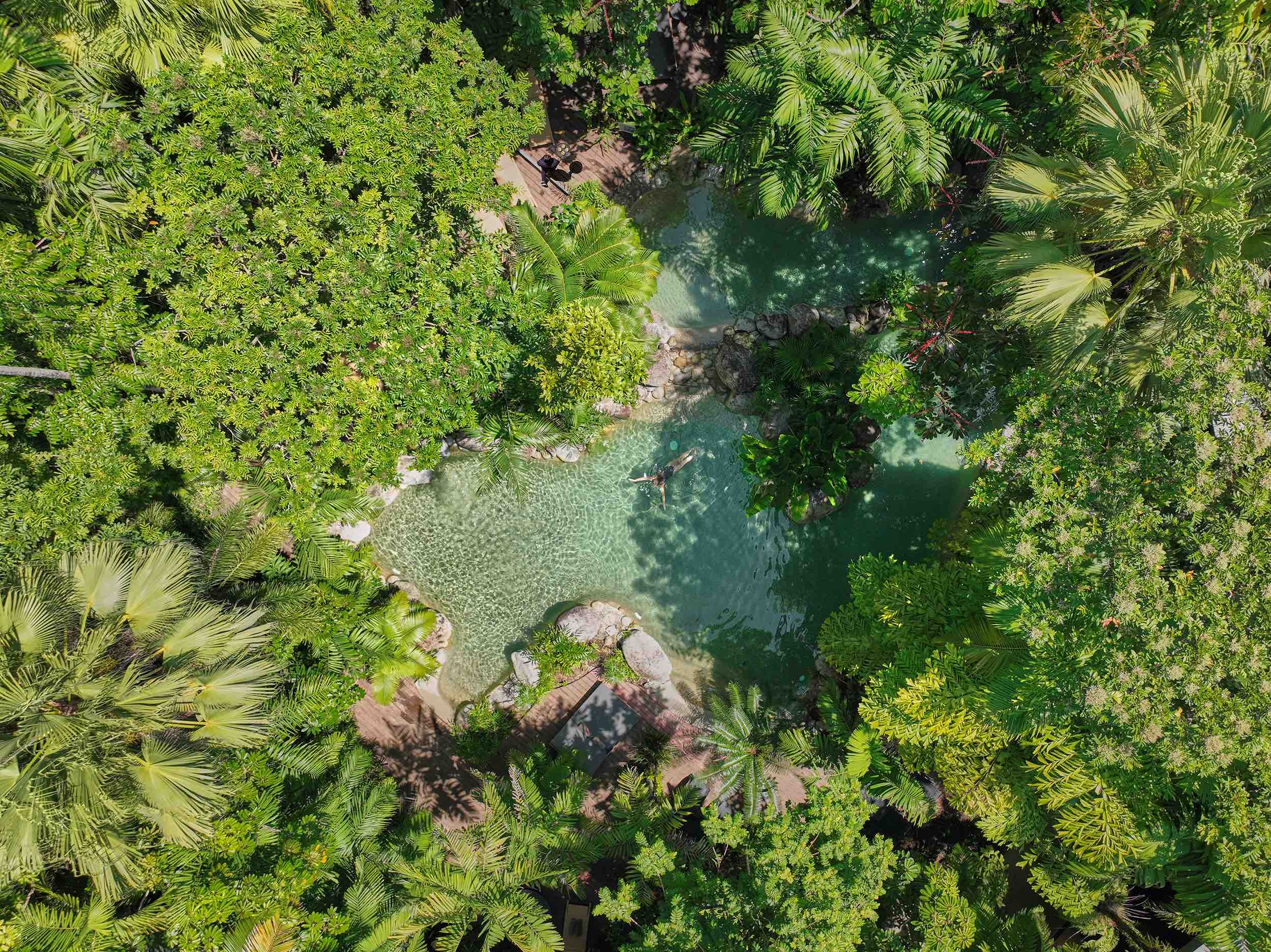 Tropical North Queensland Tropical North Queensland
