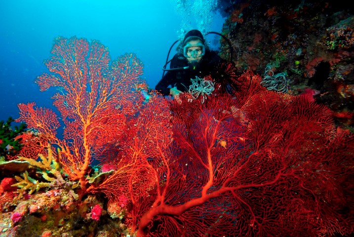 Likuliku Lagoon Diving Likuliku Lagoon Diving