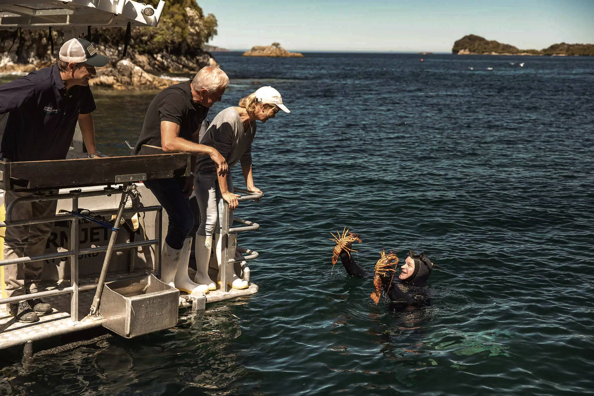 Diving experience south island new zealand