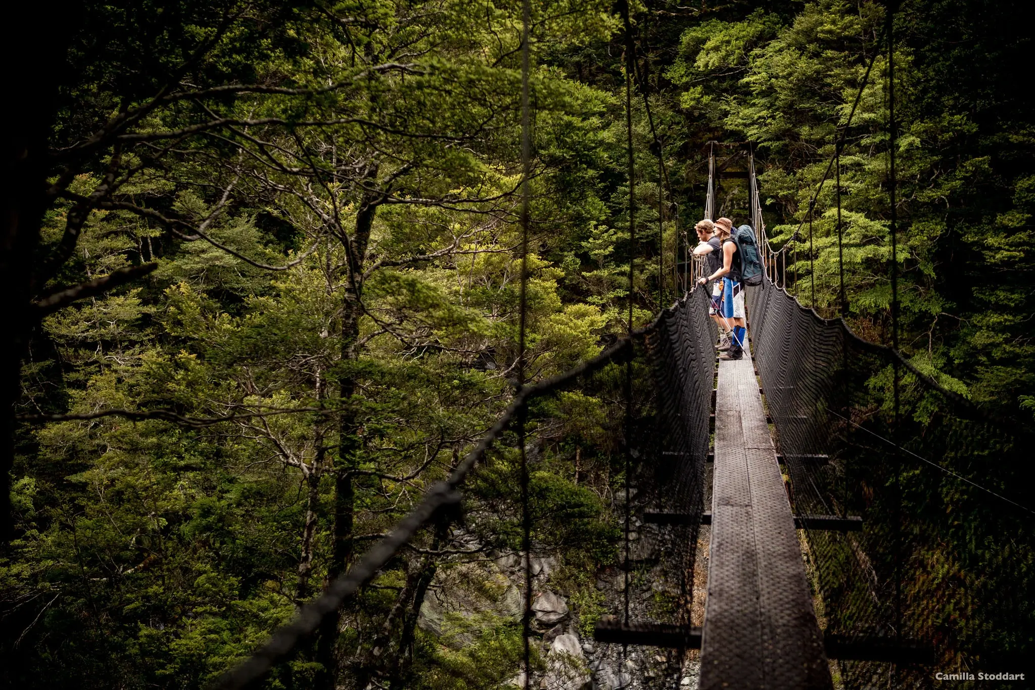 Queenstown-5-day-itinerary-routeburn-track