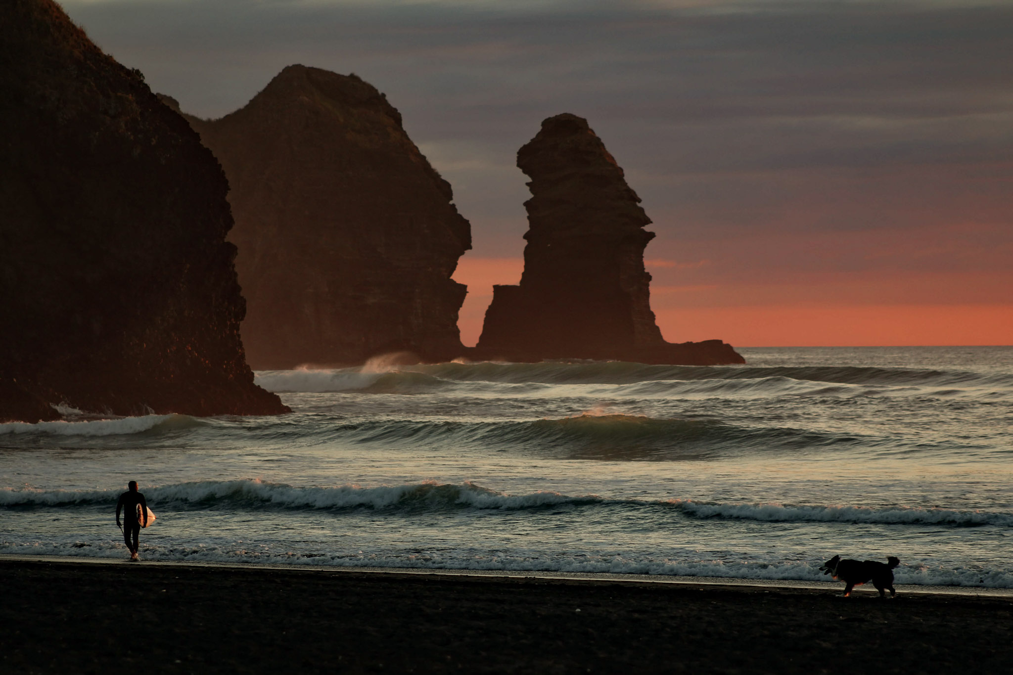 Auckland coastal tour experience