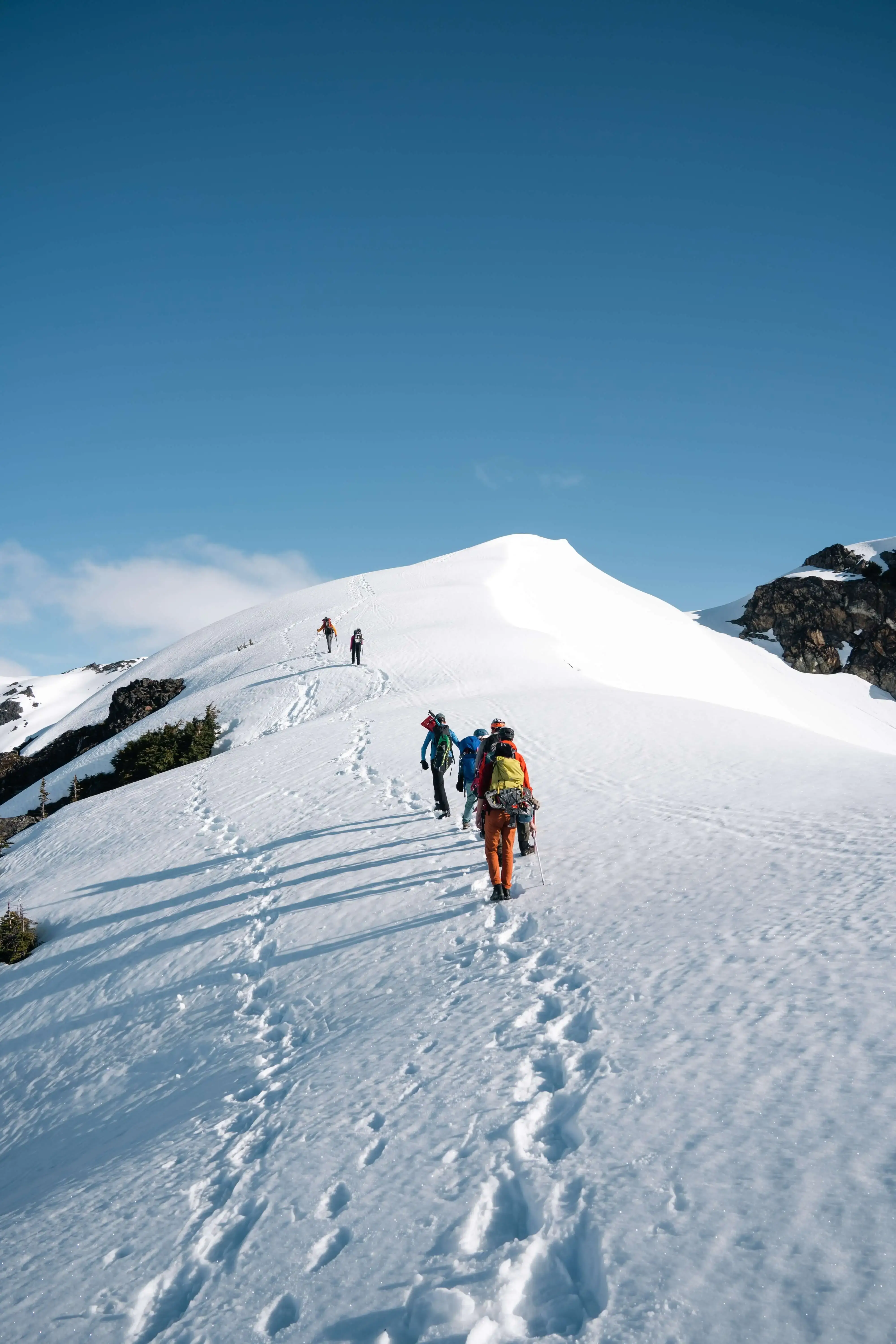 private snowshoeing experience Queenstown