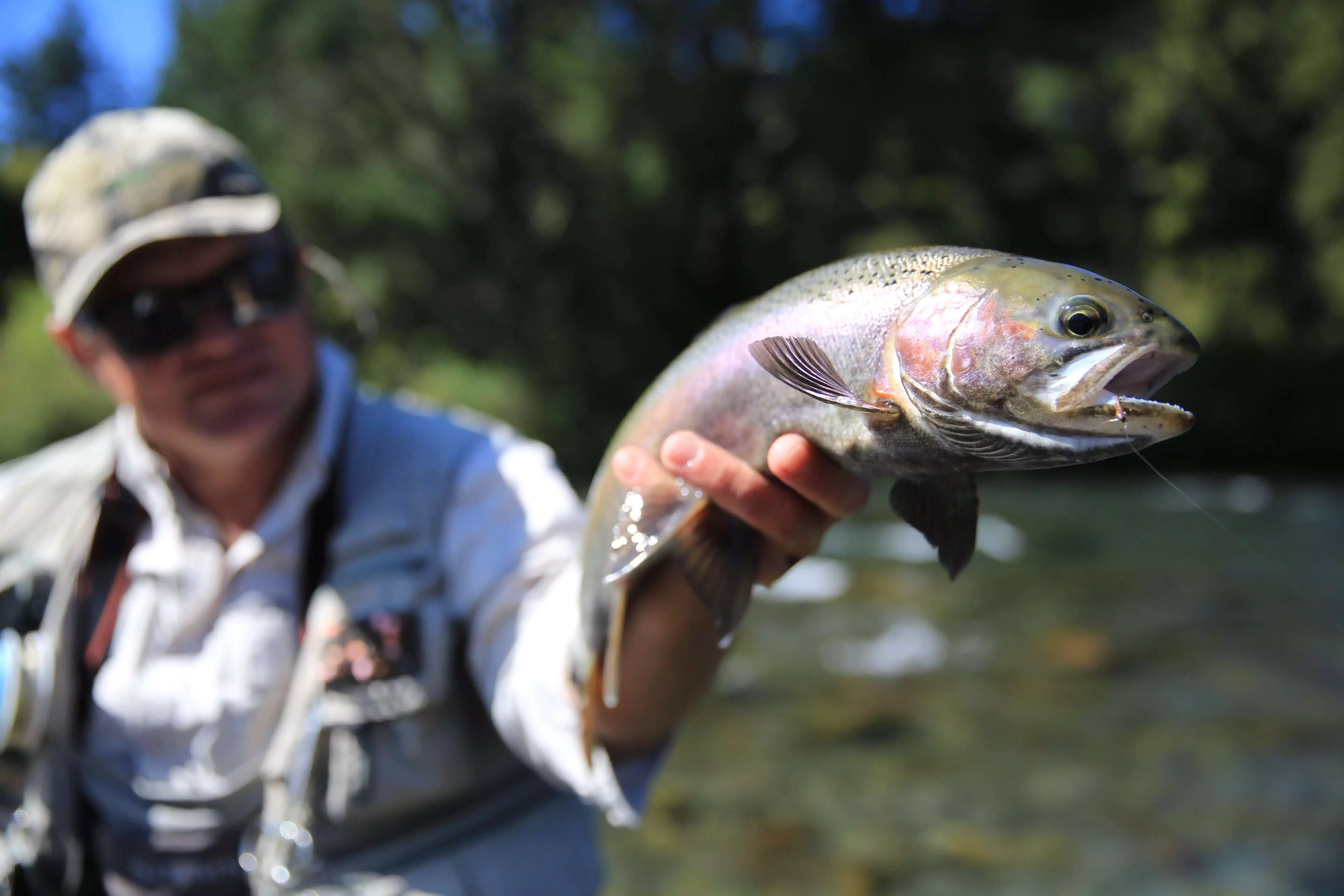 private guide fly fishing experience Queenstown