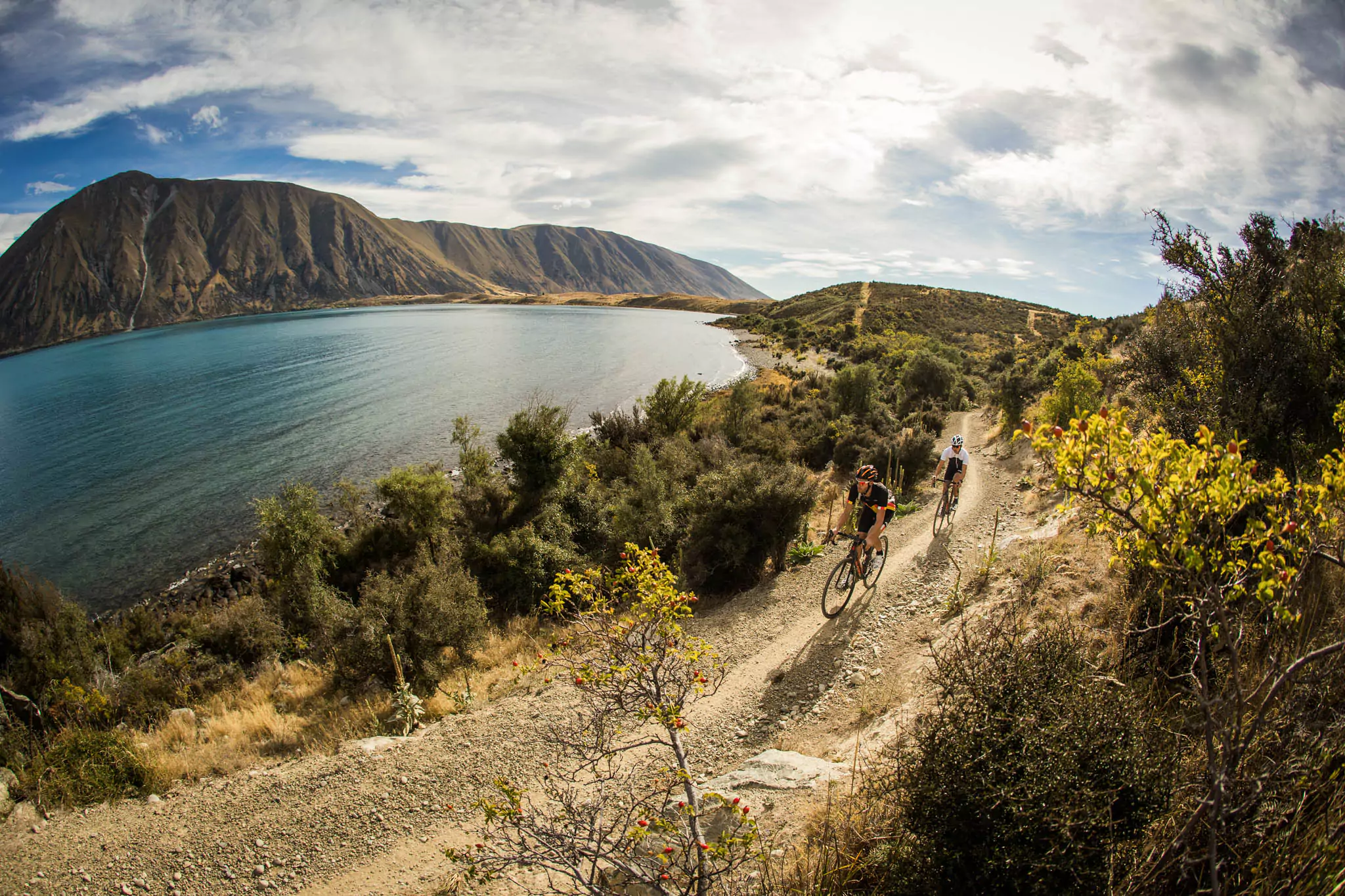 Queenstown bike tour