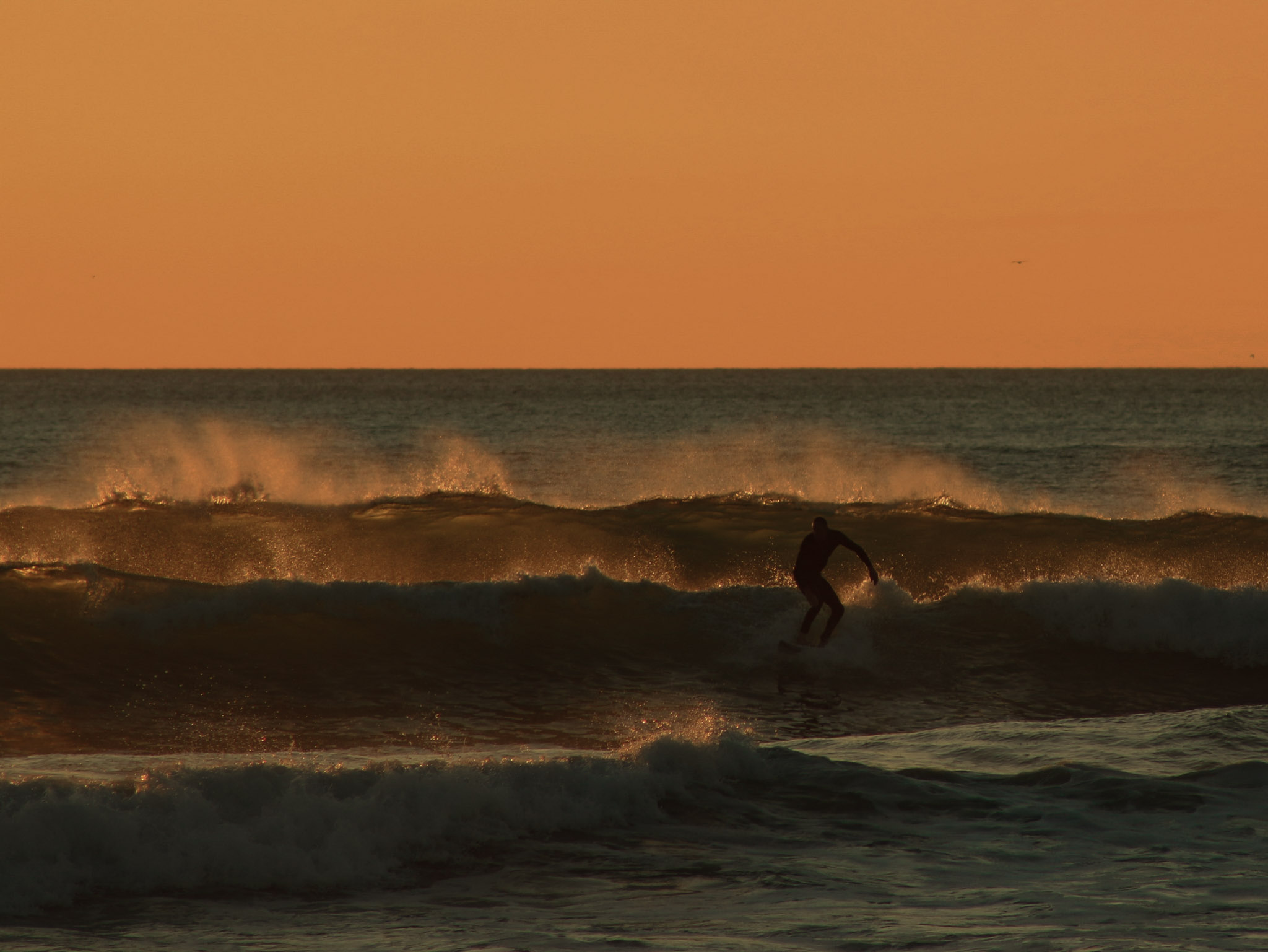 Surf Experience Auckland's West Coast