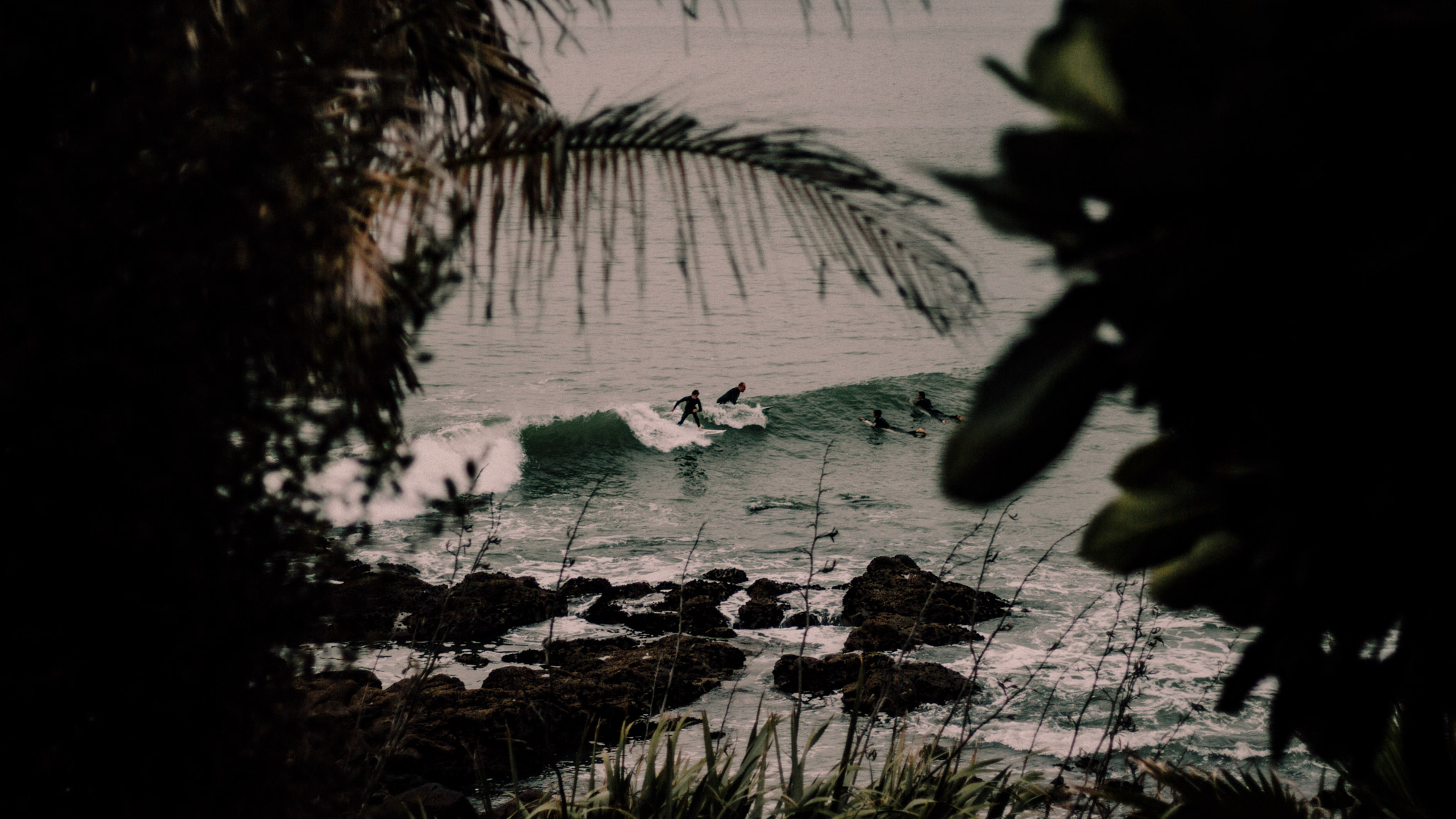 Surf Experience Auckland's West Coast