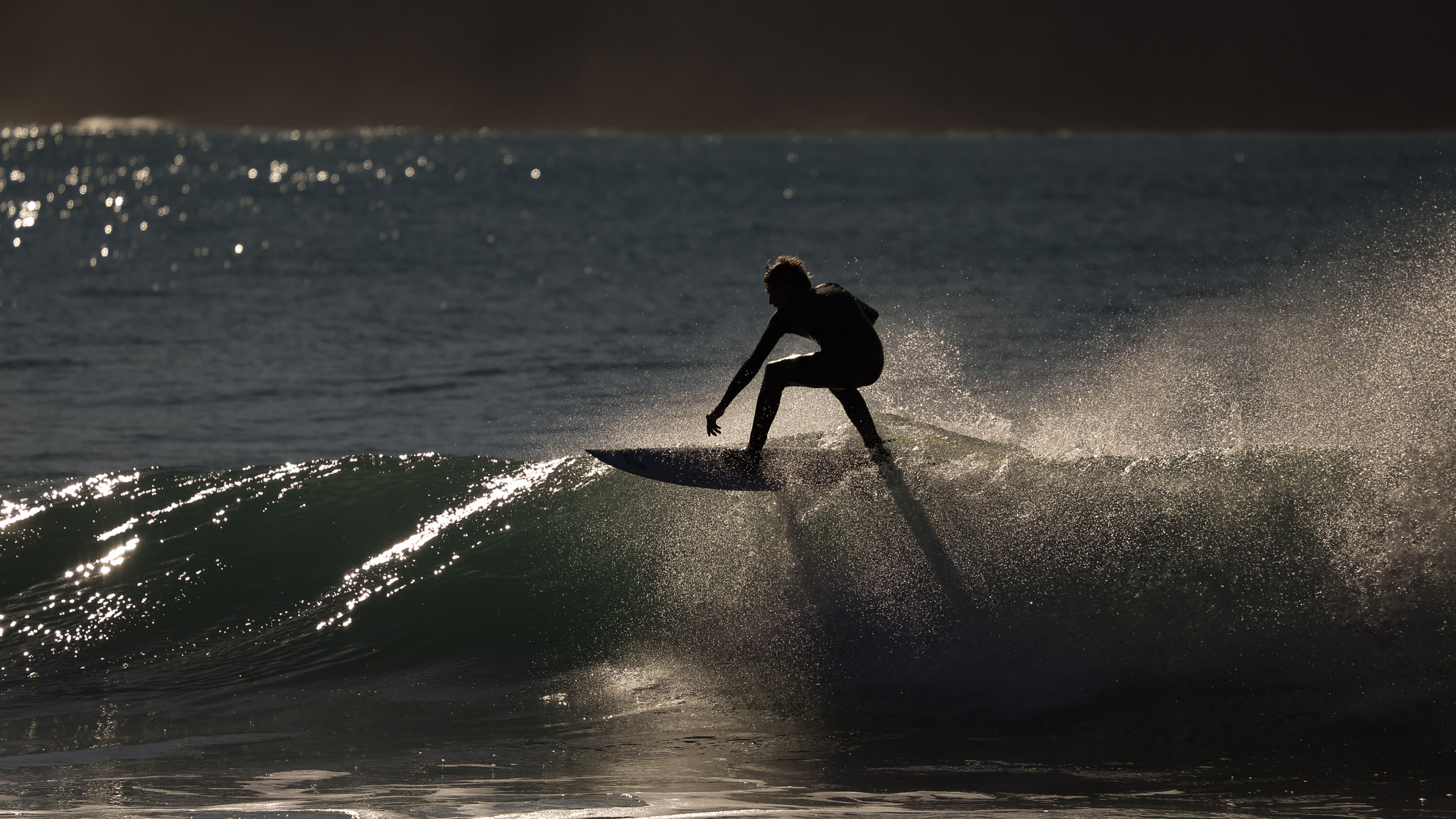 Auckland /West Coast Surfing & Food Experience 