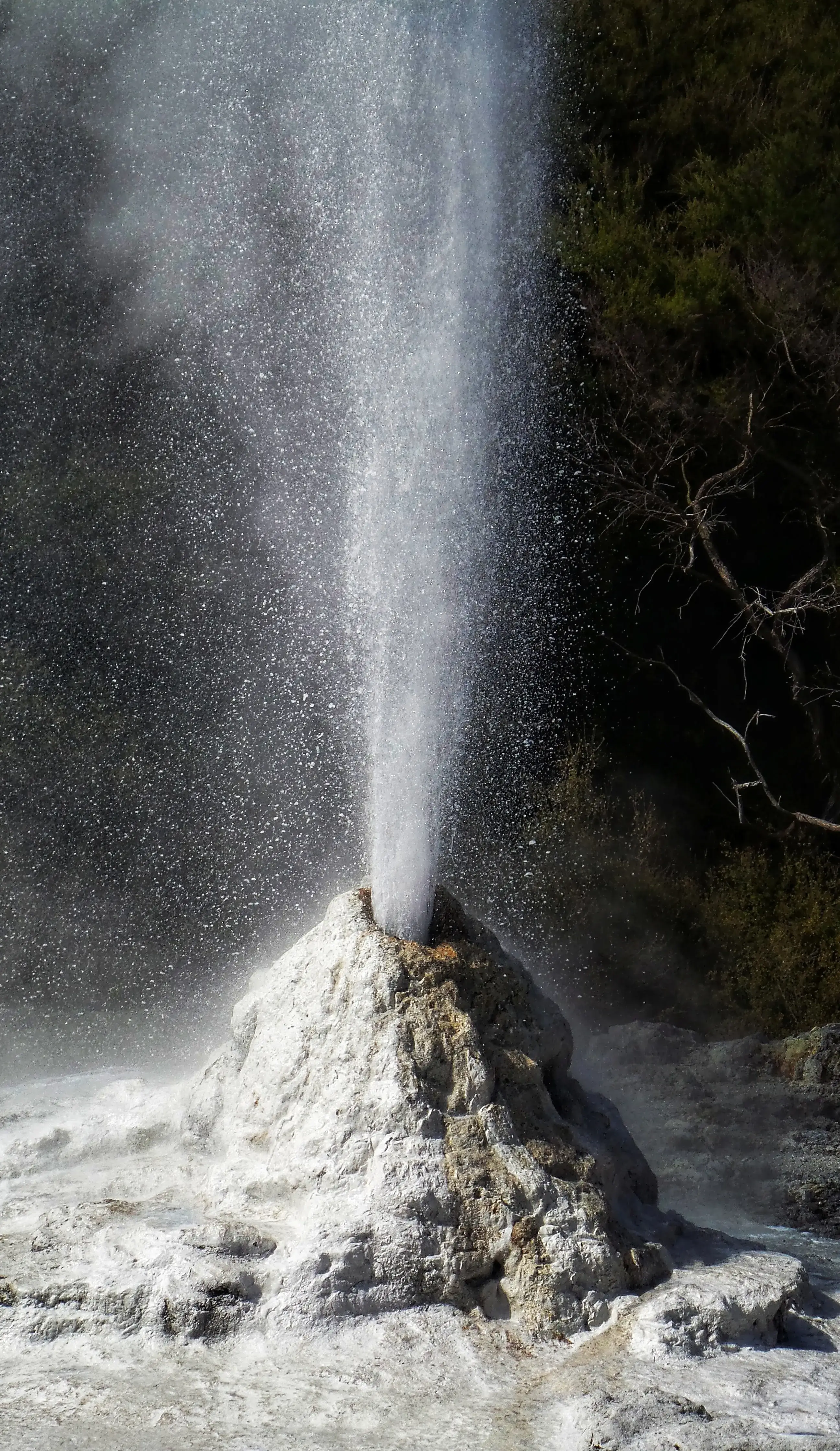 luxury NZ  road trip