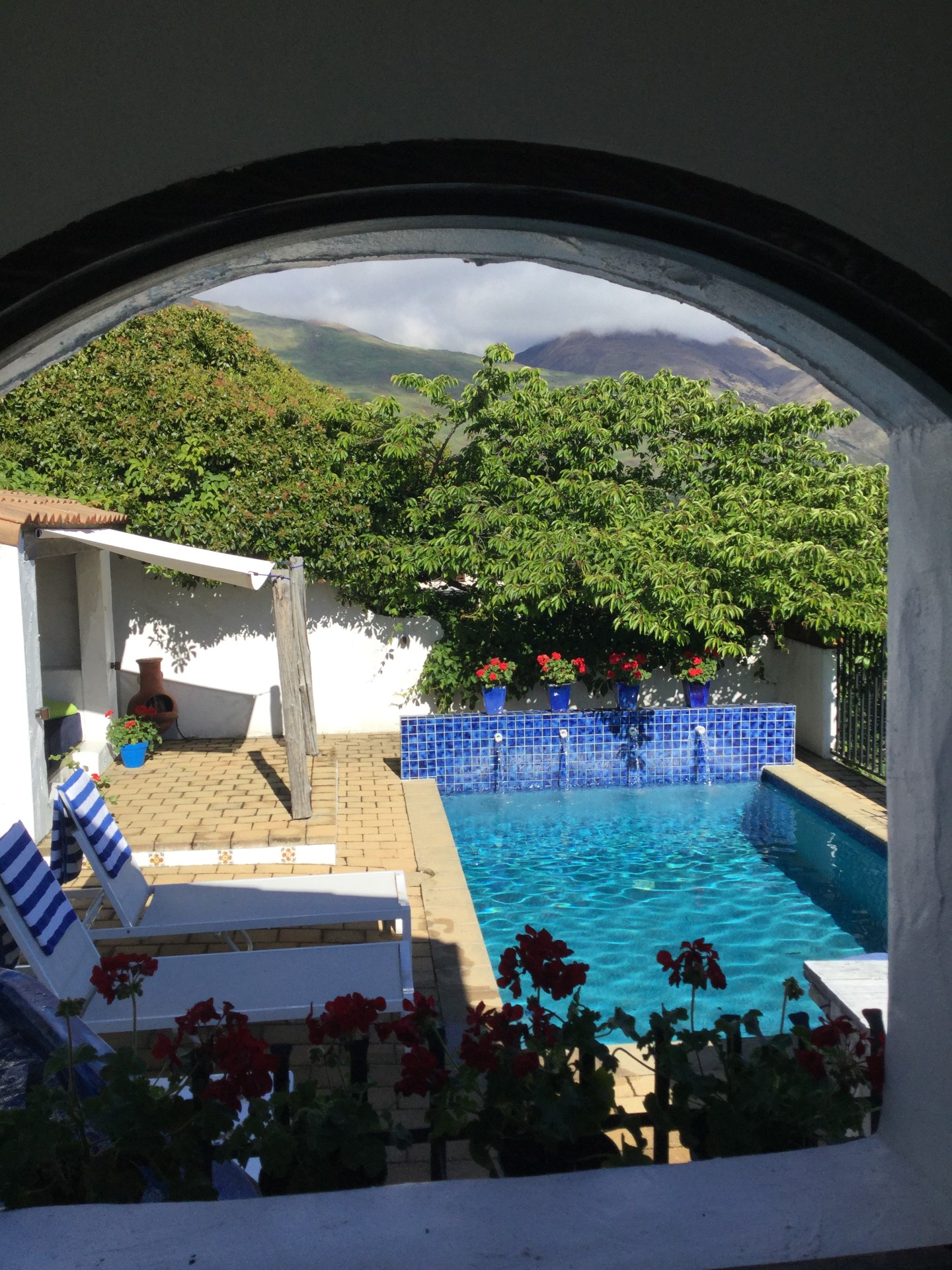 wanaka-accomodation-villa-south-pacific-pool
